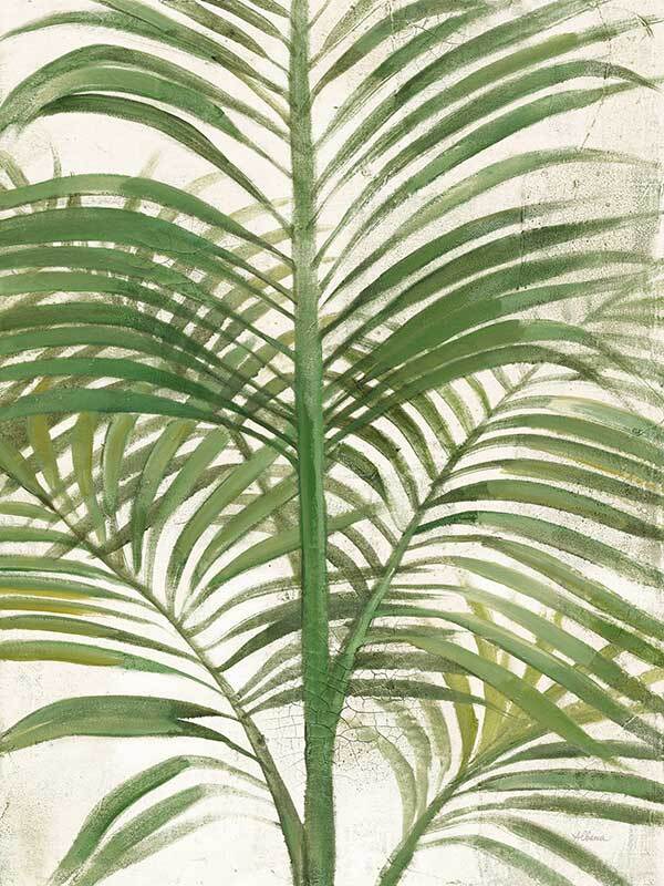 Areca Palm II Canvas Art Print