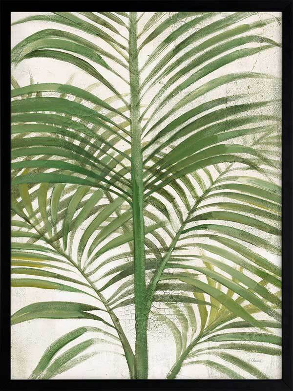 Areca Palm II Framed Art Print