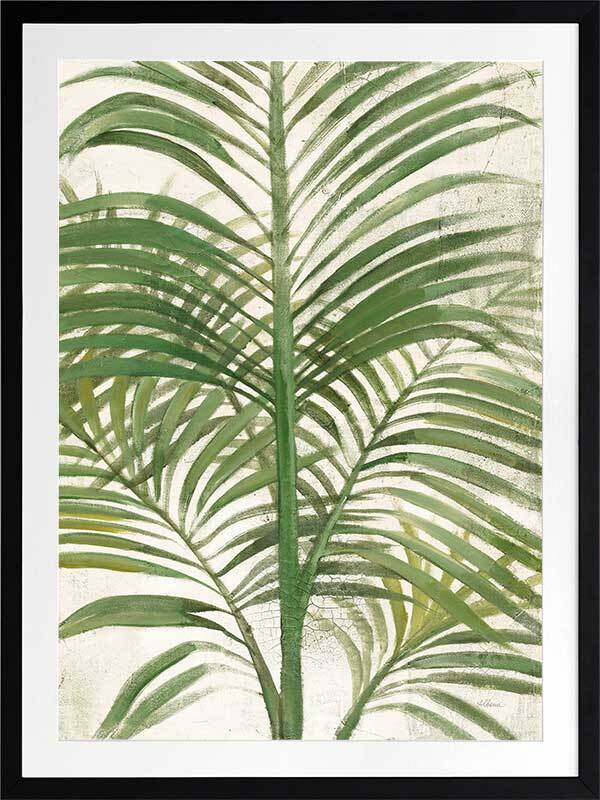 Areca Palm II Framed Art Print