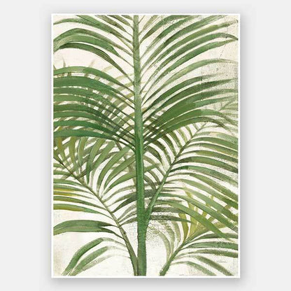 Areca Palm II Unframed Art Print