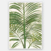 Areca Palm II Unframed Art Print