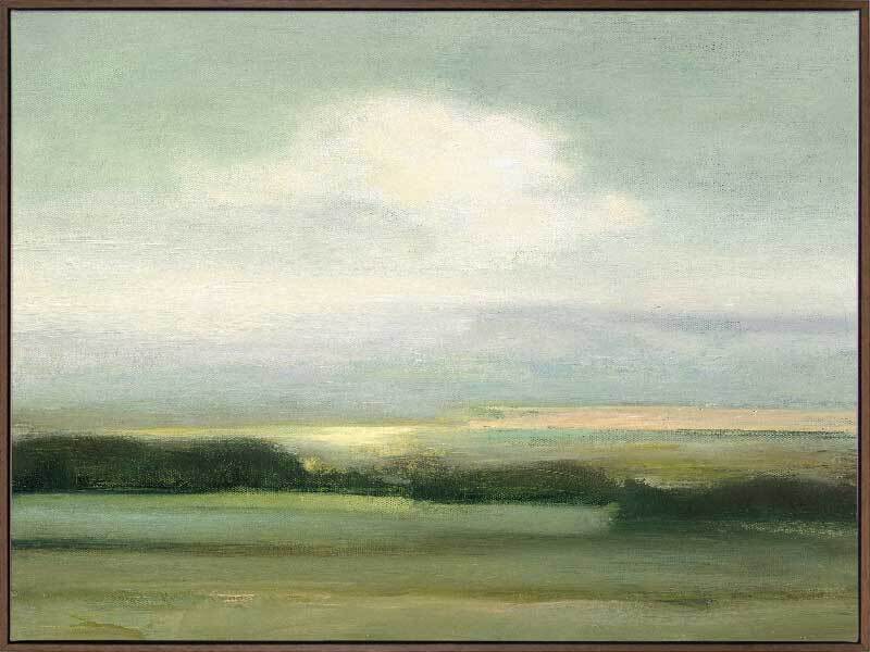 Over the Plainlands Canvas Art Print