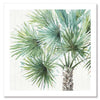 Date Palm II Unframed Art Print