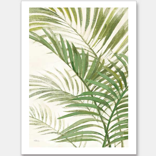 Areca Palm I Unframed Art Print