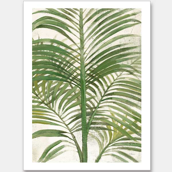 Areca Palm II Unframed Art Print