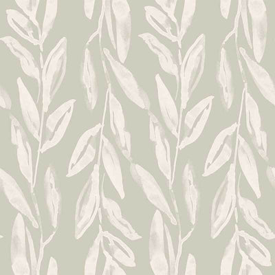 Olive Branch Wallpaper