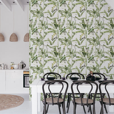 Jungle Jive Wallpaper | Lifestyle