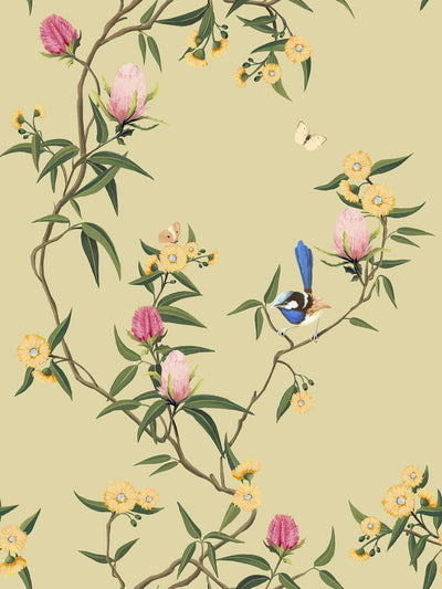 Songbird Blossoms Wattle Yellow Wallpaper