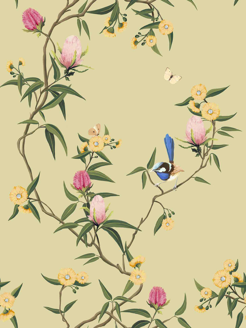 Songbird Blossoms Wattle Yellow Wallpaper