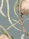 Banksia Brush Wallpaper