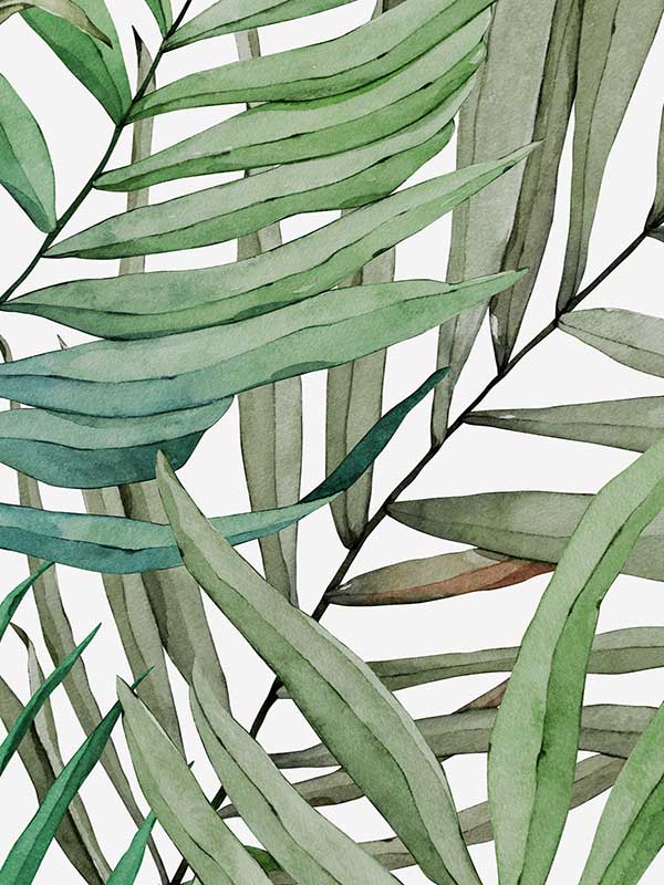 Among the Palms Wallpaper