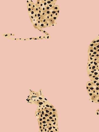 Leopard of Leisure Wallpaper