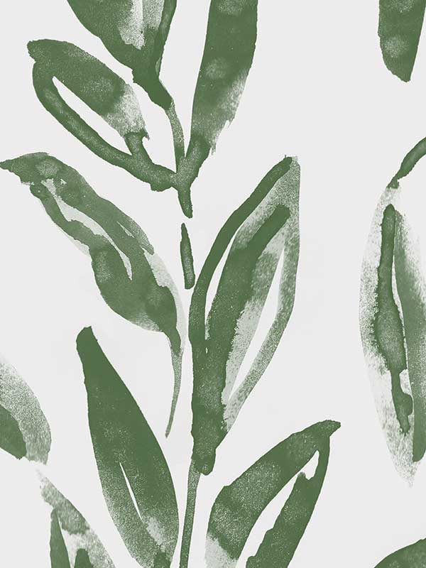 Olive Branch Wallpaper