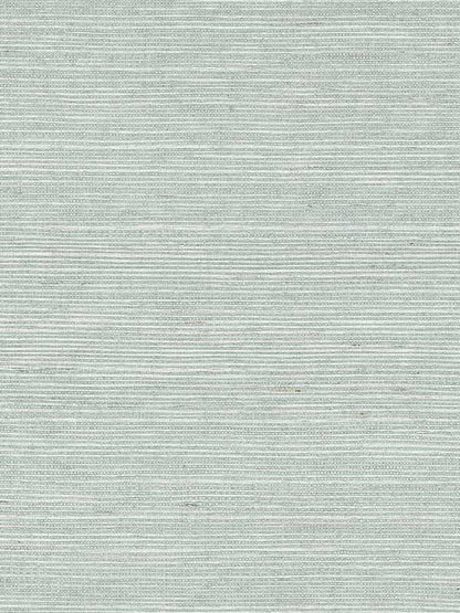 Off the Coast Dark Faux Seagrass Wallpaper