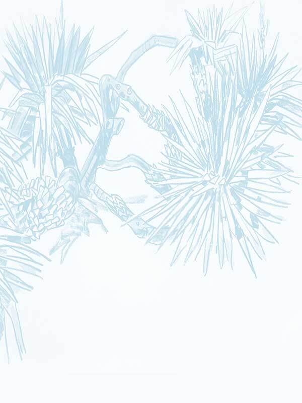 Pandan Sketch Wallpaper Mural