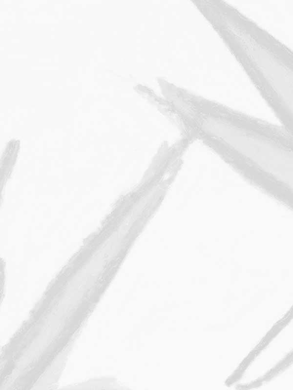 Pandan Sketch Wallpaper Mural