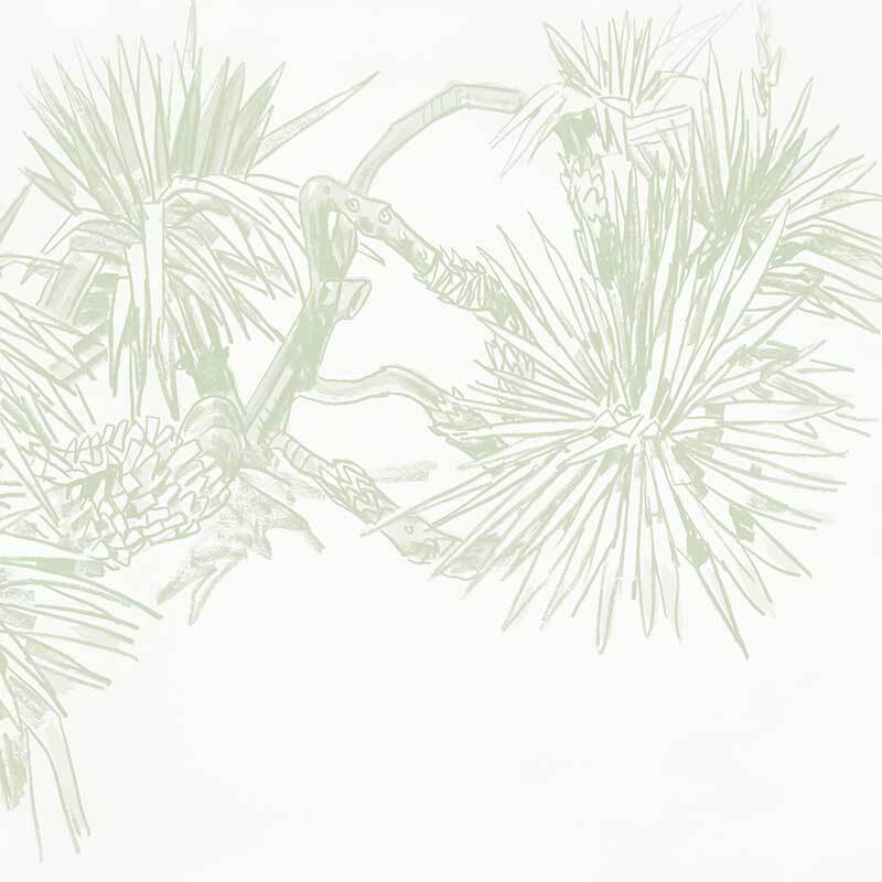 Pandan Sketch Wallpaper Mural