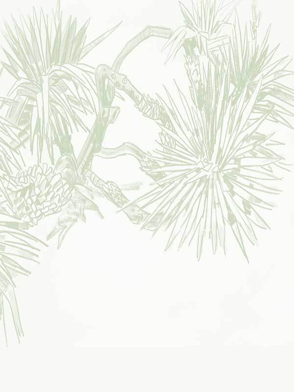 Pandan Sketch Wallpaper Mural