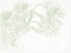 Pandan Sketch Wallpaper Mural