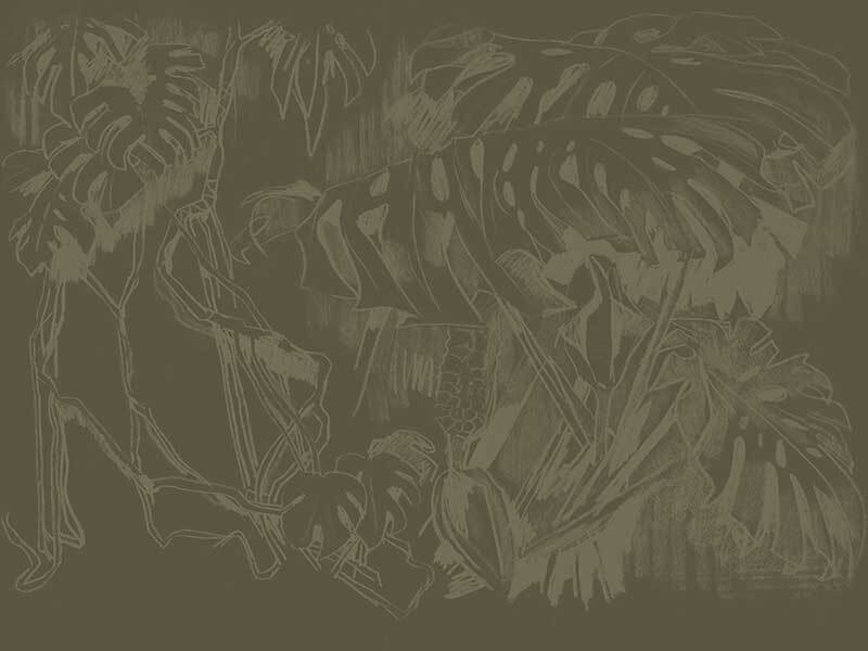 Monstera Sketch Wallpaper Mural