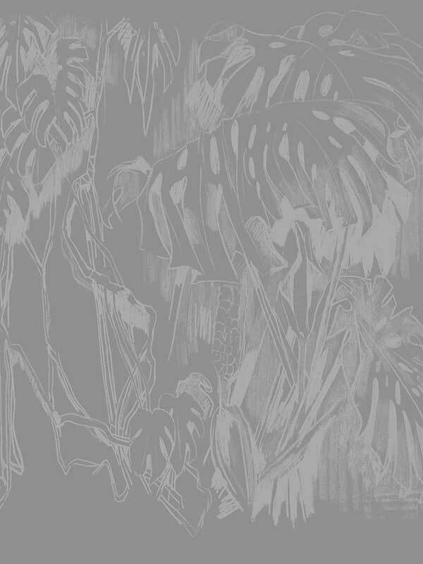 Monstera Sketch Wallpaper Mural