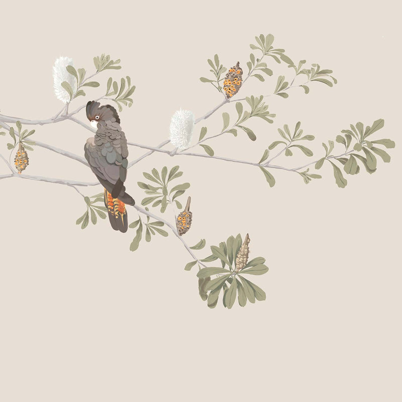 Woodland Birds Wallpaper Mural