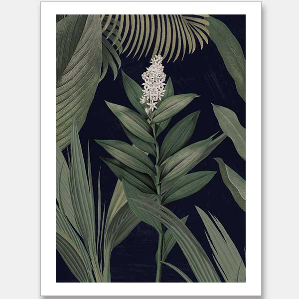 Dark Flora I Unframed Art Print