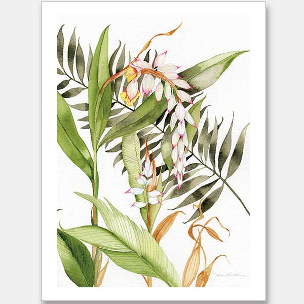 Orcahdia I Unframed Art Print