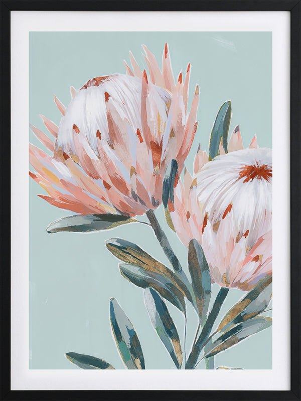 Pastel Waratah I Framed Art Print