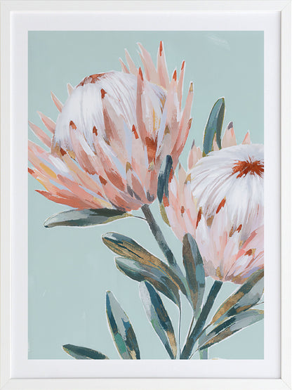 Pastel Waratah I Framed Art Print