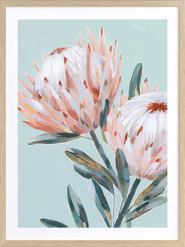 Pastel Waratah I Framed Art Print