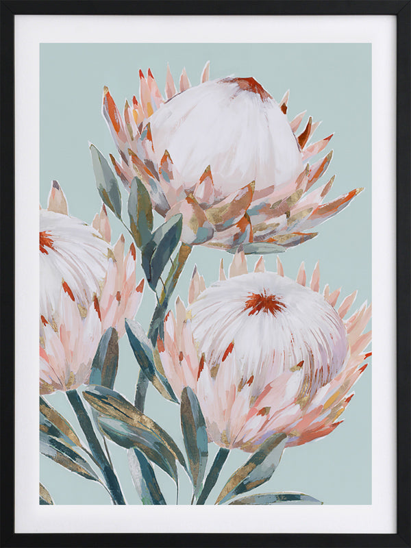 Pastel Waratah II Framed Art Print