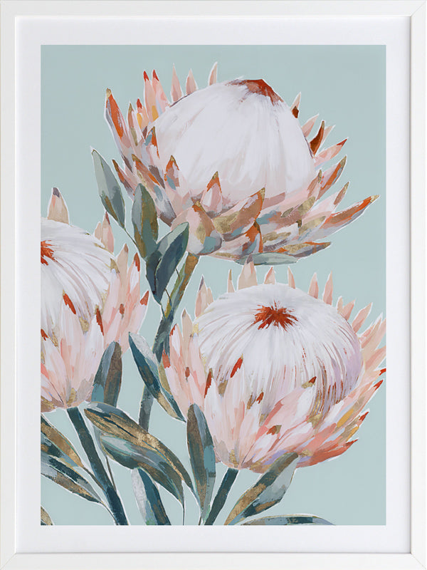 Pastel Waratah II Framed Art Print