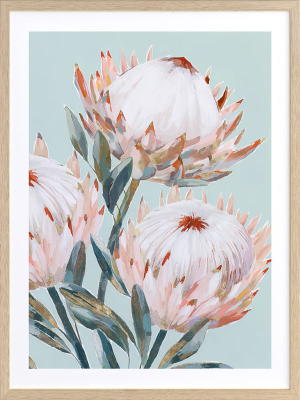 Pastel Waratah II Framed Art Print