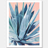 Agave Unframed Art Print
