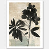 Inky Floral I Unframed Art Print