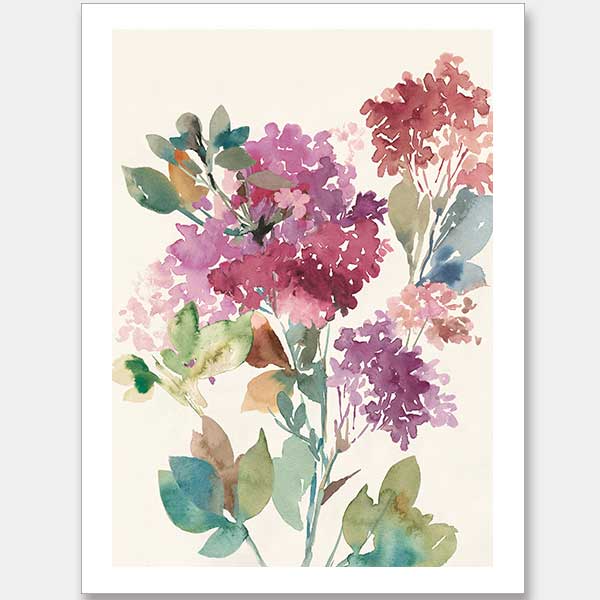 Sweet Hydrangea II Unframed Art Print